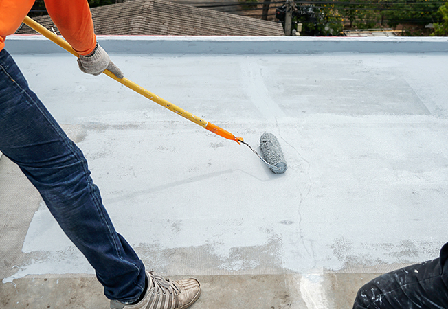 Paint & Waterproofing